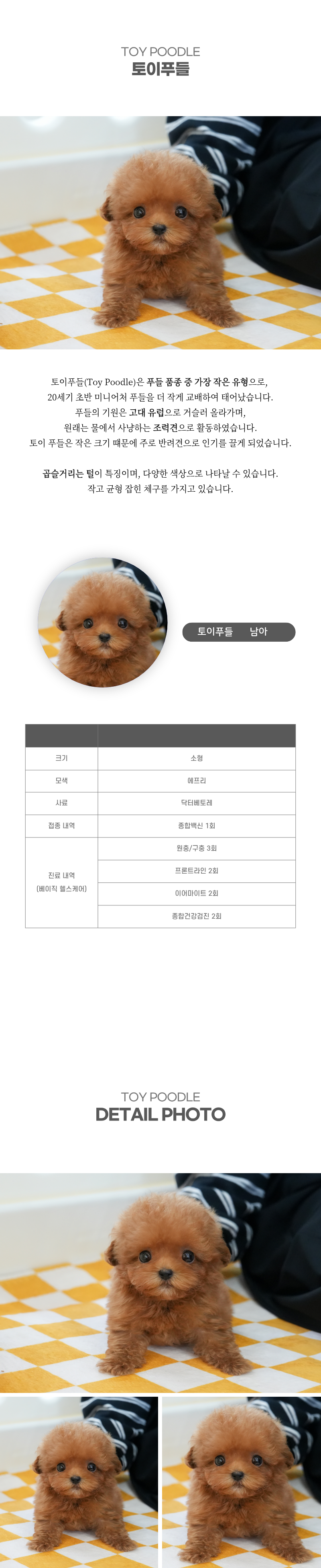 토이푸들_상세이미지_2